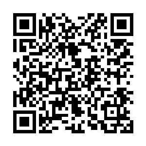 这句话终于将梓箐那颗激动而澎湃的心给拉回到现实中二维码生成