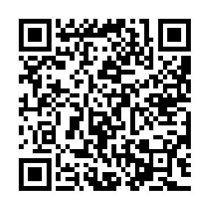 这只妖精都会狠命的勾引秦方……且每次都搞得秦方不上不下的二维码生成