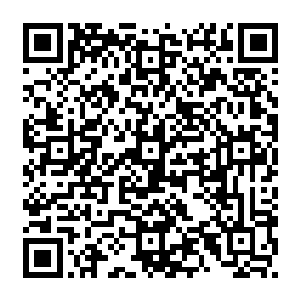 这只是想要抄近路的穆根兄弟而已啦~不要小看爱多里商业街到帝国综合学院的距离二维码生成