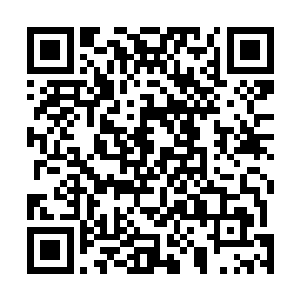 这只能说明一件事――镇封了灵墟之地飞升之路的灵墟碑二维码生成