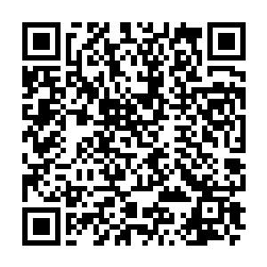 这只鹦鹉的个头不小站在卡森的手上贝海目测连尾羽有大约有八十五公分左右二维码生成