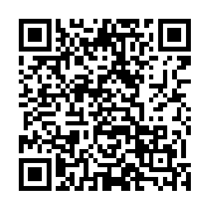 这可是只有一些伤得失去行动能力的家伙才有的待遇……二维码生成