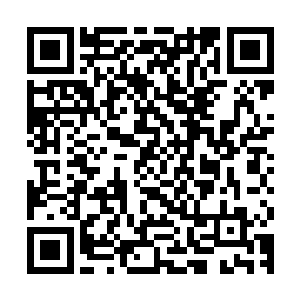 这可是号称集齐一个仙域优秀者才能完全启动它的超级地图兵器二维码生成