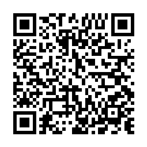这可是无数火元素内门弟子赖以修炼的赤红独角喷焰兽啊二维码生成