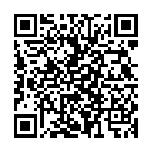 这合同里还有很多条款上的附加条例和法律约束我并不是太懂二维码生成