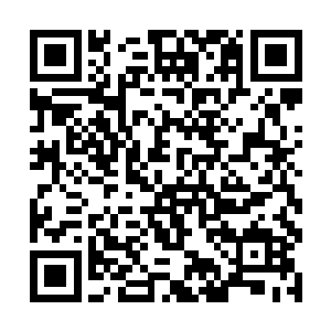 这名大汉此刻手中已经紧紧握住一条巨大独角盘龙梭二维码生成