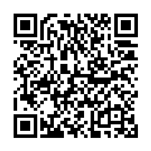 这味道分明就是刚才它同它的小伙伴们用生命去拼搏的灵气二维码生成