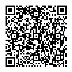 这和之前众人对付那头炼虚后期的邪修和会后期的章鱼妖兽相比显然没有那么糟糕二维码生成