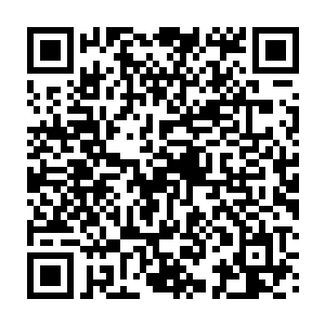 这哪里还是意图拦截……分明就是打算要将我们七个人尽数杀死的架势……二维码生成