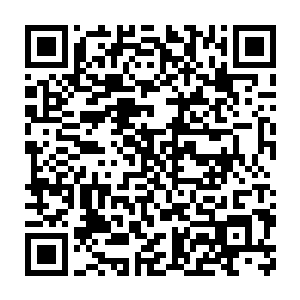 这嗜血鬼蝠之中他还培养出了一只前所未有的蝠帝境界的嗜血鬼蝠二维码生成