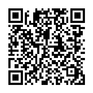 这嘉宾阵容真的是绝了……就算是我们台里面搞的跨年晚会二维码生成