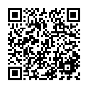 这回流墨墨是真没有想把易红仙人赶走而问起的二维码生成