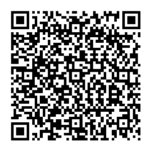 这场东大陆半数半神共同对付九原首领和祭司的超级大对决竟然在短短几分钟之内就宣告结束二维码生成