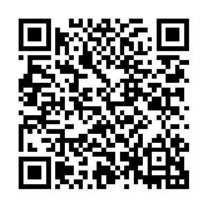 这场在军部高官们眼中本来只是过家家的比赛忽然变得无比正式二维码生成