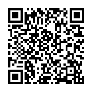 这场大洪水把过去的历史和人类生活的痕迹全部淹没掉了二维码生成