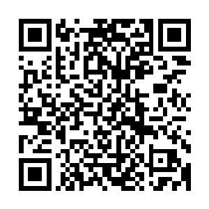 这复杂的感觉在这么长一段时间没有见到苏凡的时候不断积压二维码生成