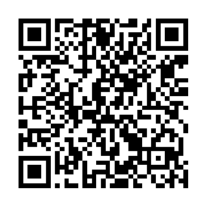 这多了几个专业人员的规模让娜塔莎都觉得底气足了很多二维码生成