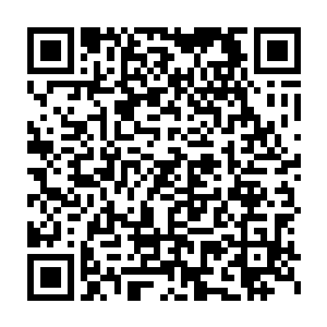 这头在等级上可以媲美五炼绝世境的杀戮巨兽所散发出来的气息波动二维码生成