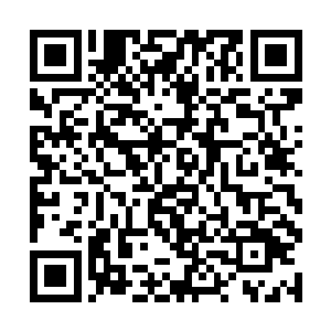 这头巨大黑熊状的杀戮巨兽浑身上下却没有半根皮毛二维码生成