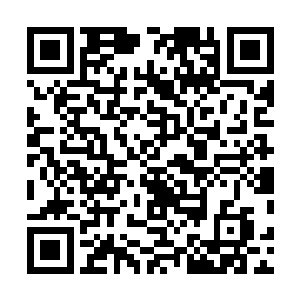 这如果是三大商行或者散仙盟出来像许紫烟这样一个任务二维码生成