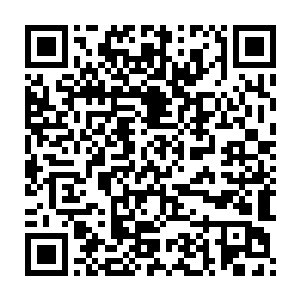 这完全是塞尔内斯之鹰对荷恩共和国滑翔机制造技术的肯定以及信任二维码生成