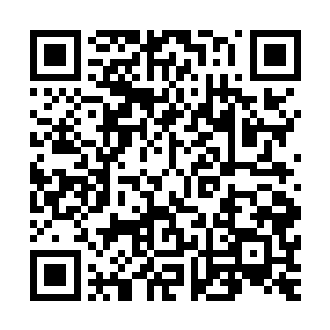这宫殿的虚影……这虚影好像比之前的时候更加的清楚凝实了二维码生成