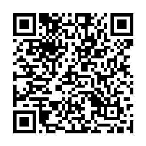 这家伙只凭着一招便将自己的优势展现的淋漓尽致二维码生成