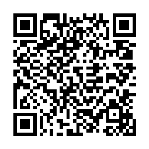 这家伙好不容易才从并不擅长即时战斗解说一旦开战多数是二维码生成