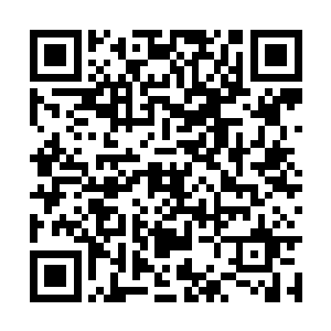 这家伙是将玄冥域的域主们打压的抬不起头的杨开二维码生成