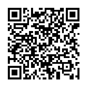 这家伙的商队竟然在荒野上遭到了变异生物的袭击二维码生成