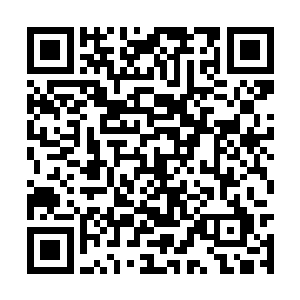 这家伙肯定是用地球那些过气的小故事吸引公主的二维码生成