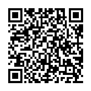这对向来重视血统纯正性的拉维斯王室来说是不可容忍的二维码生成
