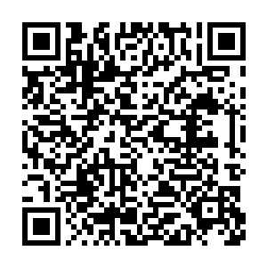 这将会导致他们很有可能在一个小时之内无法攻陷北德文斯克的系统二维码生成