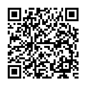 这小子已经要跑出墓中广场了……他该不会是打算扔下我们不管二维码生成
