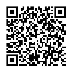 这小子的迎战反应和实力正在以肉眼可见的速度增长着二维码生成