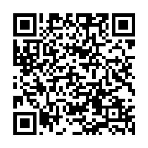 这小家伙总算交代了……少司命仙境没有完全陨落二维码生成