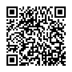 这小小的枫林城竟然有如此多武者能够活着从五色宝塔里出来二维码生成