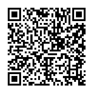 这就是一枚……传说中那种至高的仙人才有可能炼出来的……绝世奇丹二维码生成