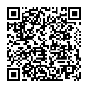 这就是为何我们可以大张旗鼓的进入死亡山脉而不会被其他宗门所怀疑的原因二维码生成