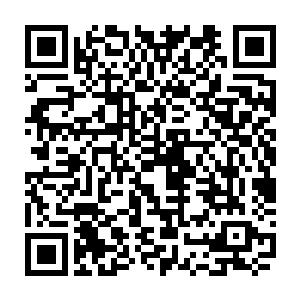 这就是华族在大灾变之前所要迎接的由魔族和三眼会为其量身打造的未来二维码生成