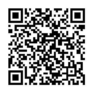 这就是变身术怪物选定的重要性――人熊在巨龙以及比蒙二维码生成