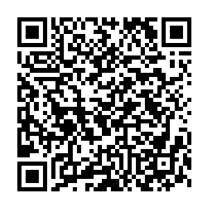 这就是各个公司都会挑一两个花瓶养着的原因之所在――别看没演技二维码生成