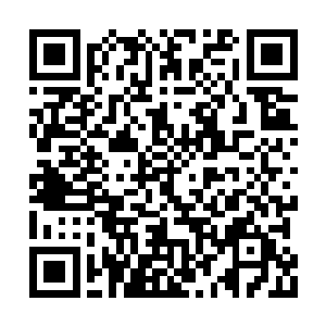 这就是自己在费率滨多次听说的东南亚最强队伍二维码生成