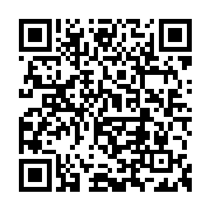 这就表示他们已经和文家人之间有进行联系沟通二维码生成