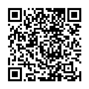 这层师徒关系还是杨开在离开青阳域之前主动爆出来的二维码生成