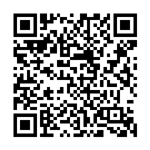 这岂不是意味着雷林以后可以随意偷袭它们当中的任何一位二维码生成