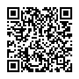 这已经不仅仅是因为楚暮杀死青兰剑派弟子的仇恨杀意二维码生成