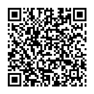 这已经将力量完全融为一体的十三女巫已经丝毫不逊于真正的斋天位强者二维码生成