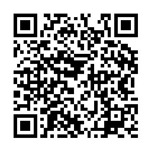 这座仙城跟他之前在仙界看到的那座仙城一模一样二维码生成