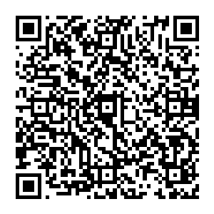 这座岛上的生物肯定是通过这个地方以及这里的果子来完成从发~情到交~配到繁衍后代一系列工作的二维码生成